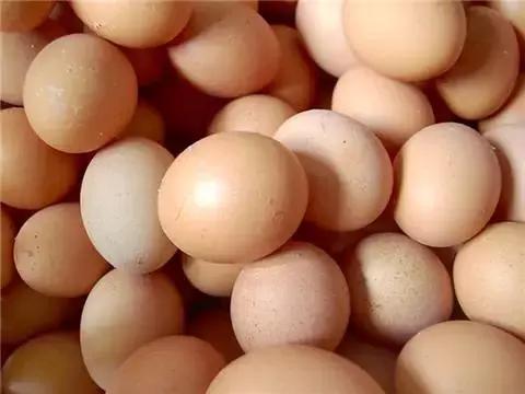 娱乐生活 第20页