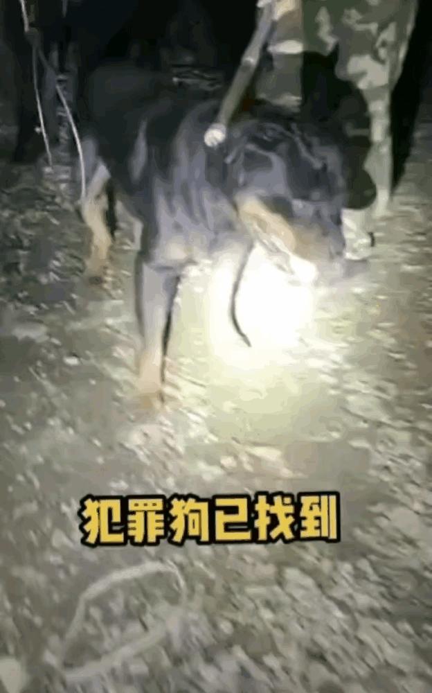 娱乐生活 第10页